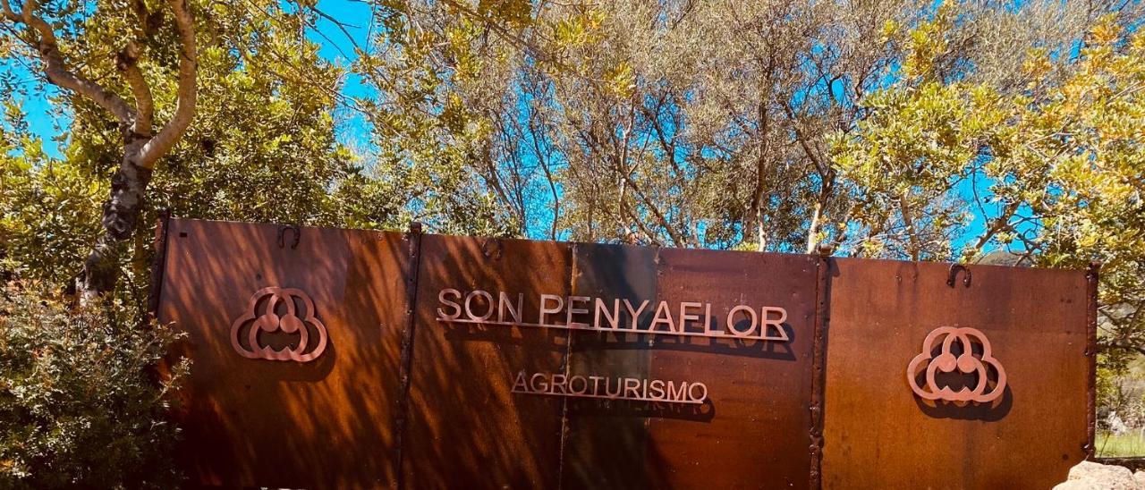 Maison d'hôtes Agroturismo Son Penyaflor à Alaró Extérieur photo